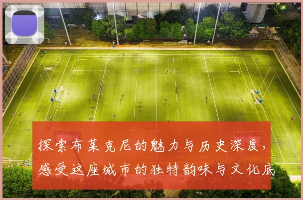 探索布莱克尼的魅力与历史深度，感受这座城市的独特韵味与文化底蕴