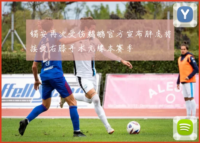 锡安再次受伤鹈鹕官方宣布胖虎将接受右膝手术无缘本赛季
