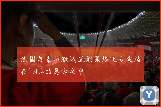 法国与南非激战正酣最终比分定格在1比2的悬念之中